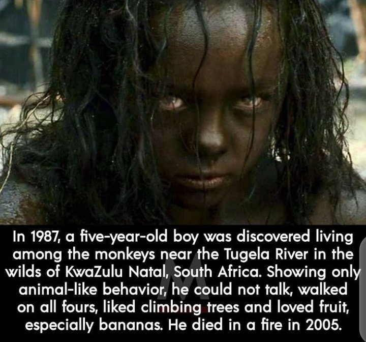 A THREAD OF SOME WEIRD HISTORICAL FACTS YOU DONT KNOW ABOUT.RT FOR OTHERS TO SEE