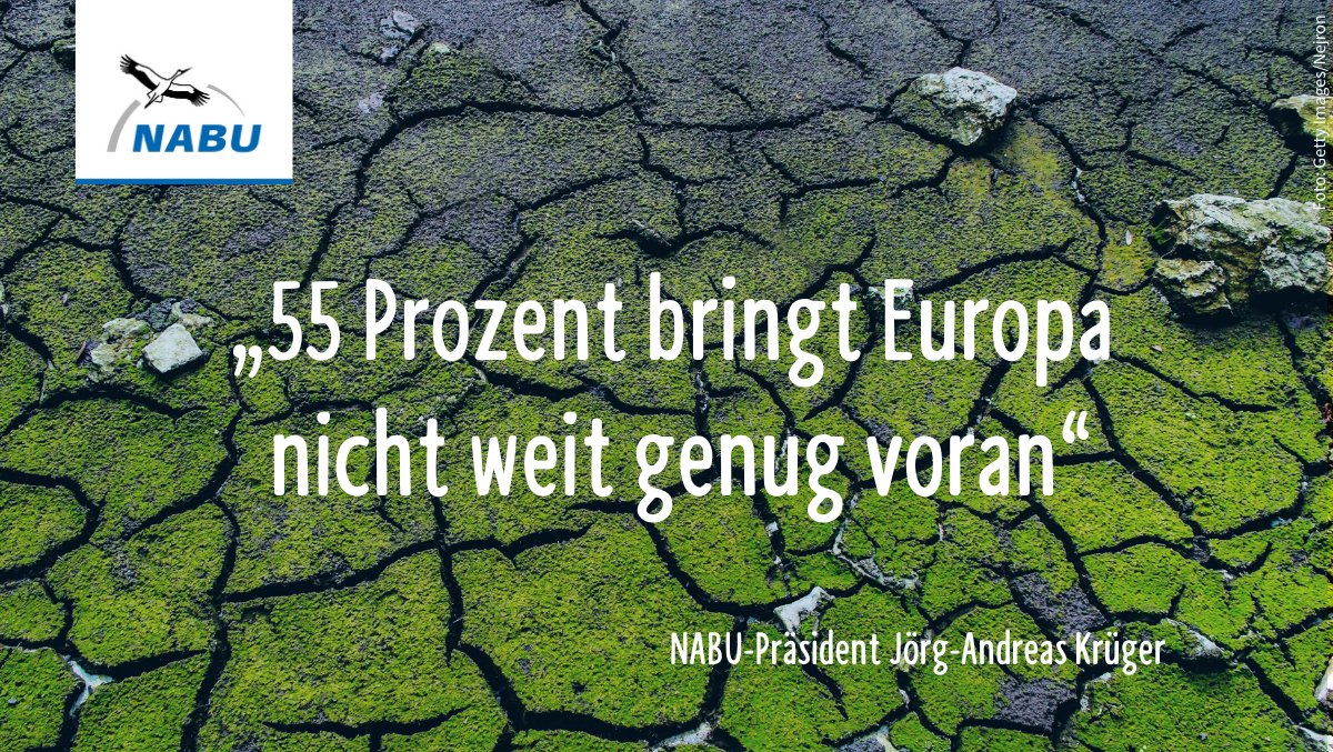 Pünktlich zum Jahrestag des Pariser Klimaabkommens einigt sich die EU auf ein neues #Klimaziel. 55 % sind aber nicht gut genug! Angemessen wäre ein Ziel von 65 % Minderung – dann könnte die EU auch endlich wieder in Sachen #Klimaschutz das Tempo bestimmen! #FightFor1Point5