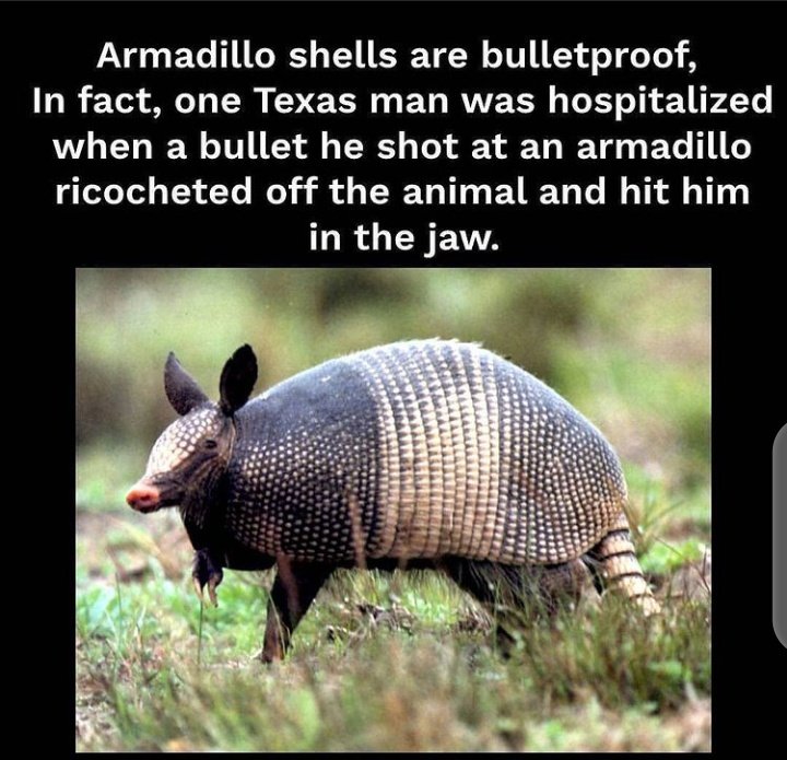 A THREAD OF SOME WEIRD HISTORICAL FACTS YOU DONT KNOW ABOUT.RT FOR OTHERS TO SEE