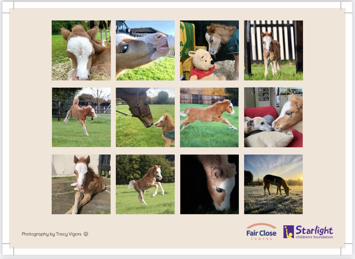 wickhamwicks's tweet image. Excited to share this calendar of Baby Buttons to raise money for @starlight_uk children’s charity and FAIR CLOSE CENTRE. Priced at £10.99 inc postage EVERY penny is going to these wonderful charities. Purchase from Hello@fairclosecentre.org #PleaseShare #StockingFiller🎁 🎄⛄️