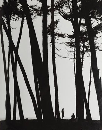 simo_montanari's tweet photo. Quei giuramenti,quei profumi,
quei baci infiniti,
rinasceranno. 

Charles Baudelaire 

Stanislao Farri (1982) https://t.co/pSpNau4xTC