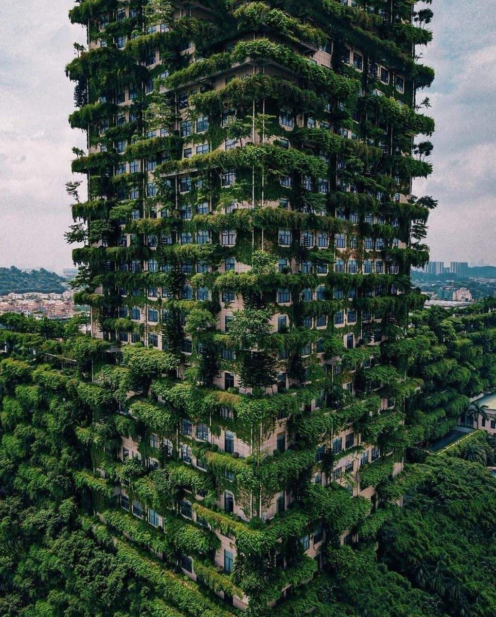 Aimee Bisset (@aimeebisset) on Twitter photo In Chengdu City, China 
🍃🌴
#environmental #environment #China #nature #engineer In Chengdu City, China 
🍃🌴
#environmental #environment #China #nature #engineer