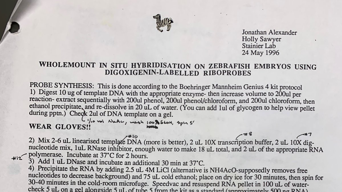 Melissa Truong (@melissa_truong) on Twitter photo Using <a href="/ReiterLab/">Reiter Lab</a>’s original protocol from grad school this week. This HAS to be some sort of experimental good luck charm, right?? <a href="/Ucsf_Biochem/">UCSF Biochemistry</a> Using <a href="/ReiterLab/">Reiter Lab</a>’s original protocol from grad school this week. This HAS to be some sort of experimental good luck charm, right?? <a href="/Ucsf_Biochem/">UCSF Biochemistry</a>