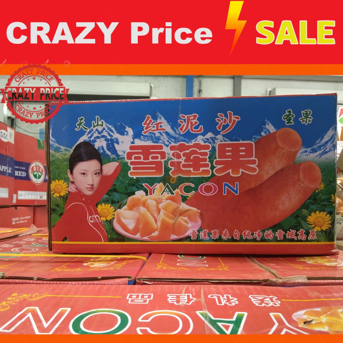 Shopkun's tweet image. #บัวหิมะ #LISA #รีวิวเซเว่น #รีวิวShopee 
บัวหิมะนำเข้าจากประเทศจีน
ยินดีรับออเดอนะคะ
ยกลัง 450 บาท ส่งฟรี