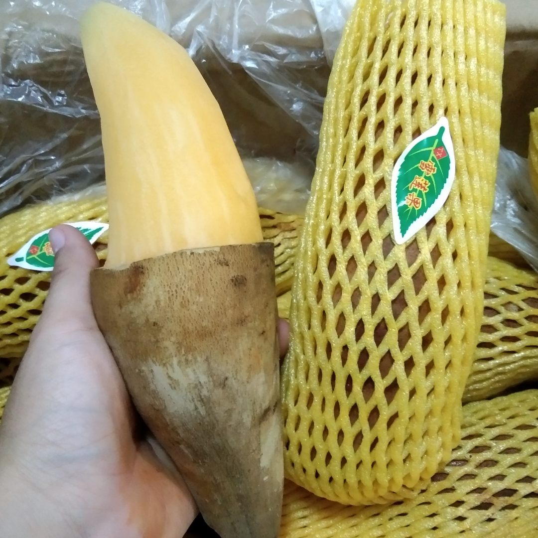 Shopkun's tweet image. #บัวหิมะ #LISA #รีวิวเซเว่น #รีวิวShopee 
บัวหิมะนำเข้าจากประเทศจีน
ยินดีรับออเดอนะคะ
ยกลัง 450 บาท ส่งฟรี