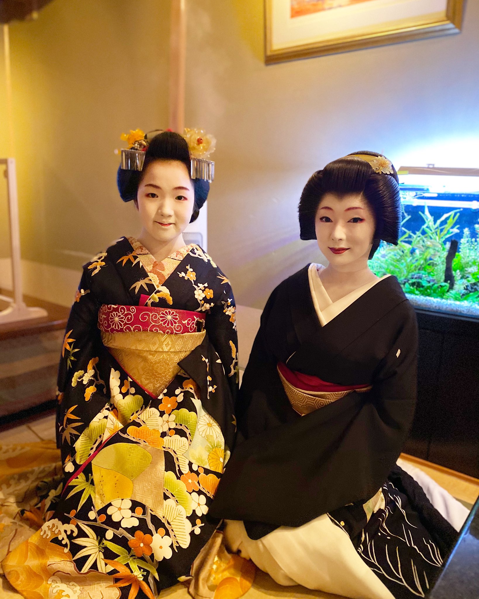 おまとめ　裾引き　芸妓　芸者　絞り　二つ綿　紫　金駒 裾引き 芸妓 芸者 絞り 二つ綿 紫 金駒