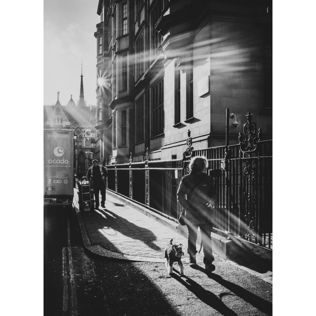 Sunny morning in London - deliveries and walking the dog.
.
.
#mono #monochrome #monochromephotography #blackandwhite #instapic #lincolnsinnfields #london #uk #soholondon #londonist #londontours #thingstodolondon #visitlondon #street #streetphotography #candid #candidphotography