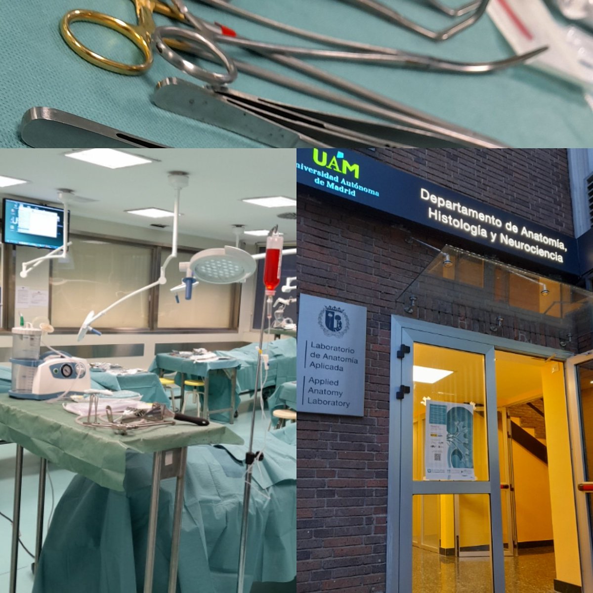 ramiro_cabello_'s tweet photo. Comenzamos #TxThiel20 
Simulación de la cirugía de la extracción, preparación en banco, trasplante y simuladores @UAM_Madrid https://t.co/laOON6mur4