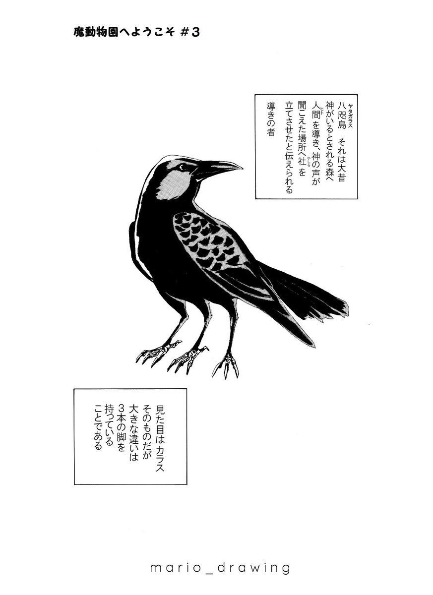 ここは神話に出てくる生き物たちを展示している動物園。今日もいつものようにスフィンクス♂をお世話していた一紫みずきと竹丸律。
一仕事終えたと思った矢先、なんと朝からヤタガラスが大脱走!
開園まで1時間を切る中、飼育員たちは無事にヤタガラスを捕獲できるのか!?

がここまでのあらすじ。? 