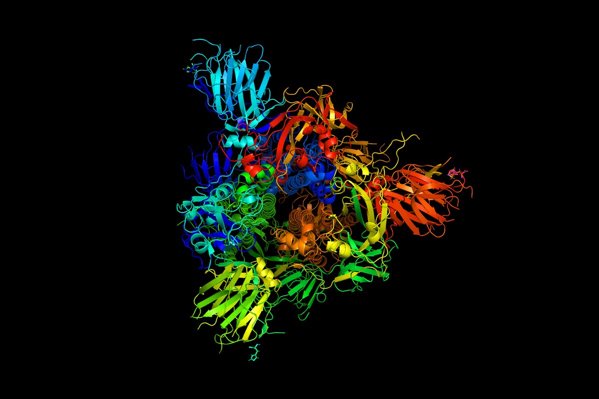 Colorful illustration of vibrations of the protein spikes on coronaviruses, including the one that causes Covid-19, play a crucial part in allowing the virus to penetrate human cells.