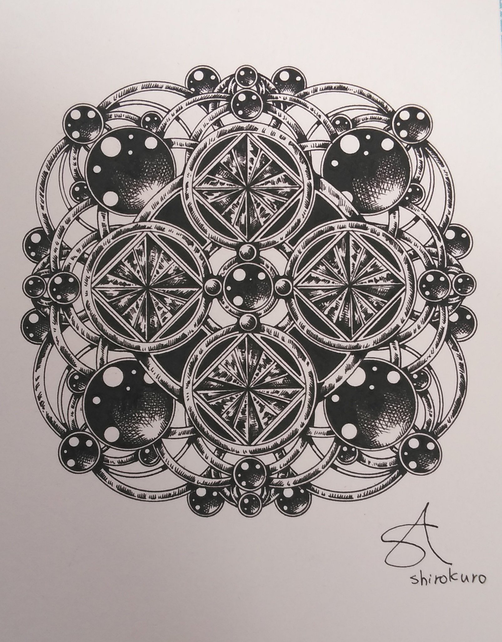 シロサイペン画