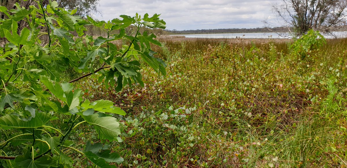 Mike_PHCC tweet media