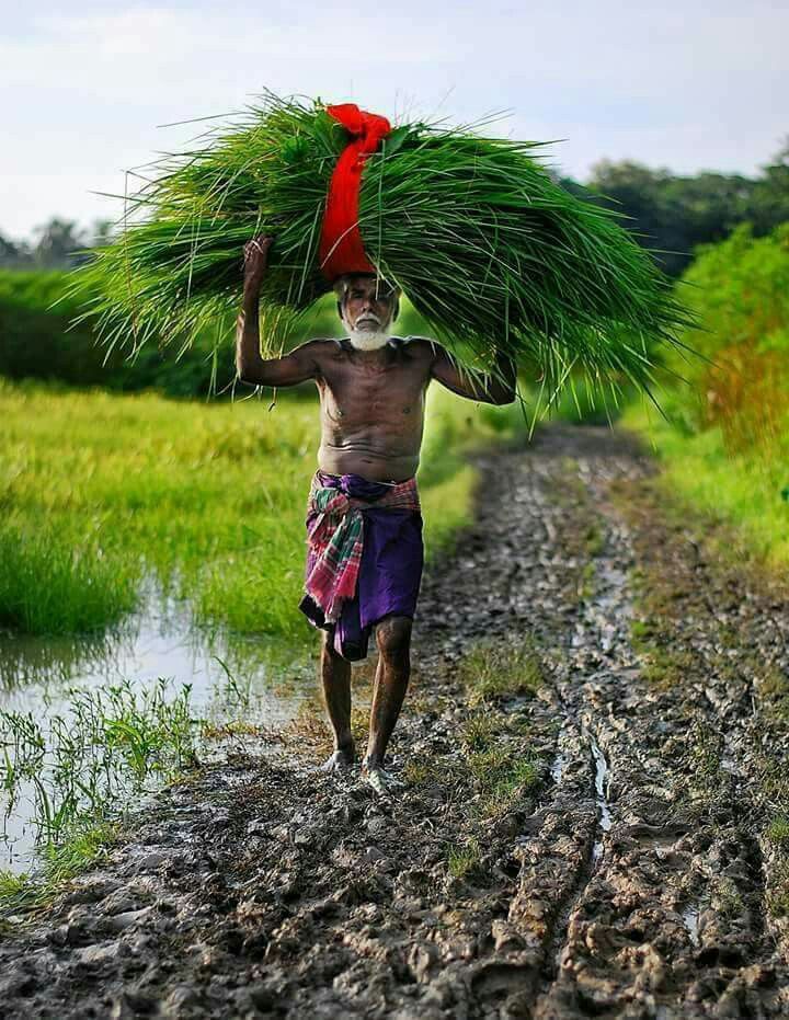 आज भी कृषि का बेहतर प्रबंधन करके ,उसमें तकनीकी निवेश के साथ उन्नत बीजों का प्रयोग करके किसान की आय में वृद्धि करके सामाजिक खुशहाली में वृद्धि की जा सकती है।