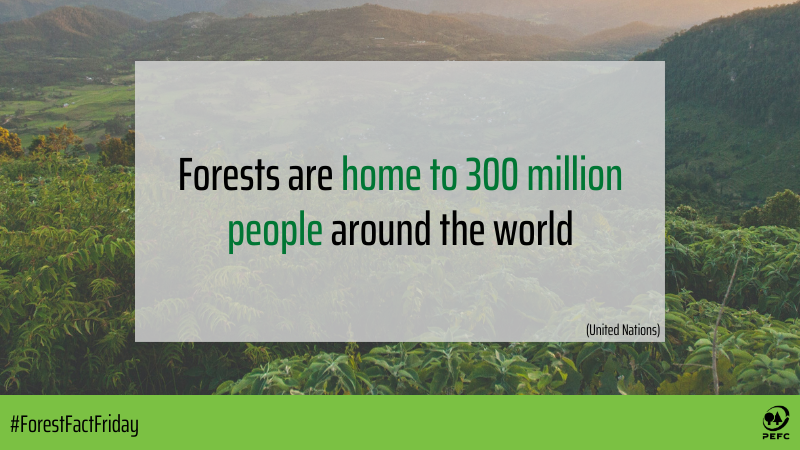 PEFC_UK's tweet photo. Where forests are sustainably managed and used, they can contribute significantly to alleviating poverty, creating forest-based enterprises and supporting social development. Let’s take good care of them, so they can still be there for future generations! #ForestFactFriday https://t.co/MDHCpo3gZH