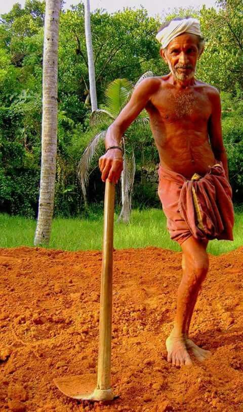 धान का न्यूनतम समर्थन मूल्य 1850 घोषित है फिर भी किसान 1100 रुपये में धान बेचने पर क्यों विवश है ? कारण सरकार जानने का प्रयास नहीं करती है।किसान की खुशहाली के बिना उद्योगों को उन्नत स्तर की ओर नहीं ले जाया जा सकता है।