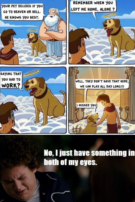 My Uncle S Meme Stash Happy Dog Barking Noises T Co Mvi1ymvmla Twitter My Uncle S Meme Stash Happy Dog Barking Noises T Co Mvi1ymvmla Twitter