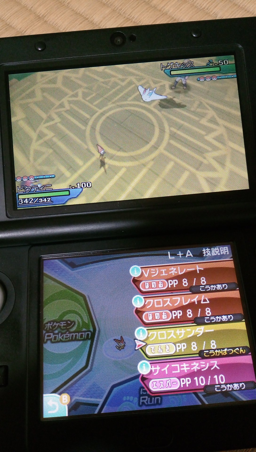 No 38 ポケモン 第6世代でのリボン収集終わりました 1匹のポケモンにこれだけリボンを付けてあげたのは初めてです 名残惜しいですがカロス地方とホウエン地方にお別れをつげ 今日の最終便でアローラ地方へ向かいます ポケモンxy