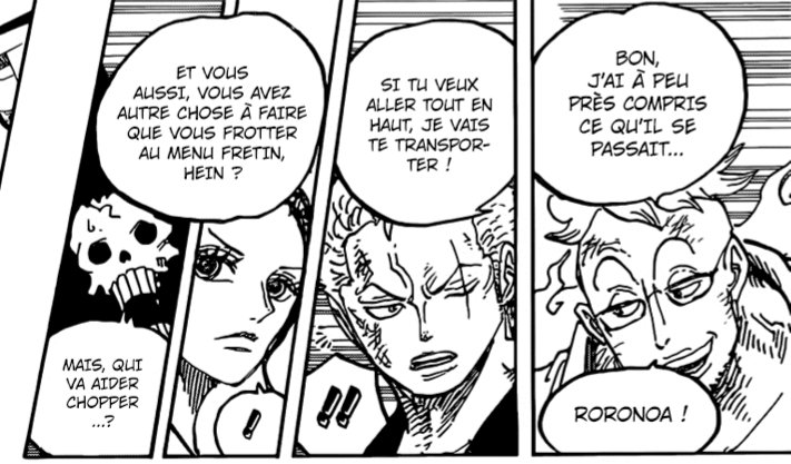 Mais le plus interressant du passage danq la fosse viens dans la double page suivante. Ou Marco comme prévu vas transporté zoro. Et indique aussi que Brook et Robin ont eux auqsi autre chose a faire!!Bien évidement!Mais comment eux vont-ils monter?Et bien c'est super simple:
