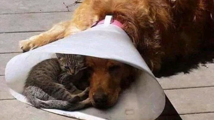 When someone is going through a rough time... just sit with them... no preaching, no advice... just be with them
#MentalHealthMatters