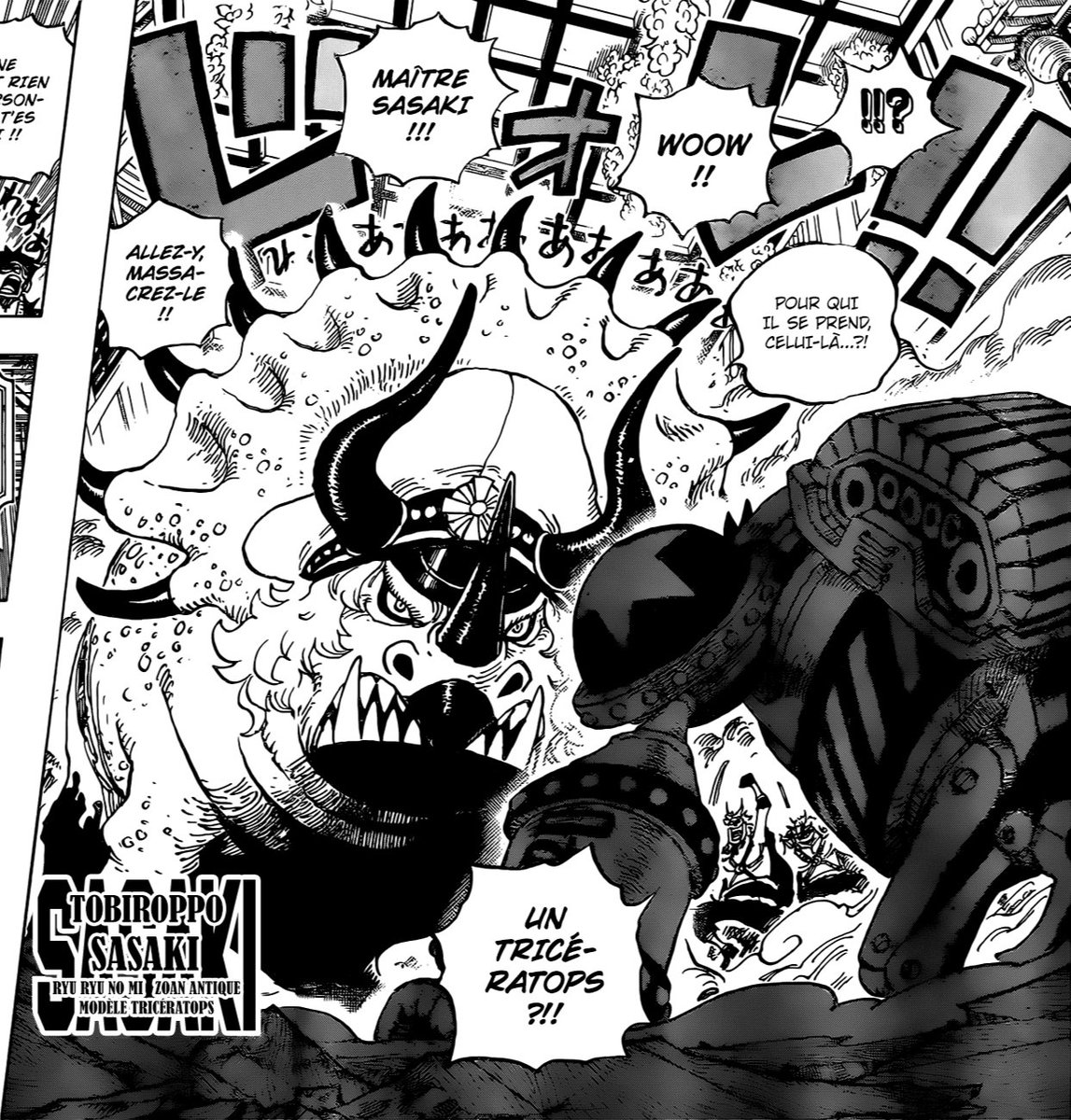 On passe en suite sur franky avec l'avancement sur le combat contre sasaki et Oda nous gratifie d'une 3ème double page magnifique. Avec la présentation du zoan de sasaki le tricératops. Qui est logique par son charadesign (les cornes) mais j'aurai bien voulu l'ankylosaure mdr