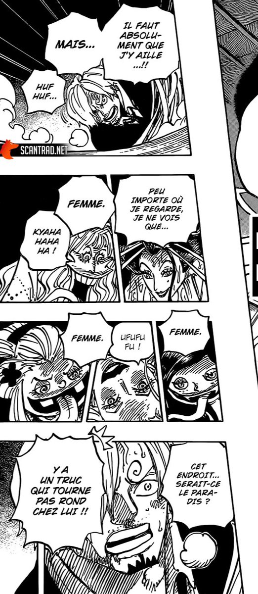 C'est la 1ere fois qu'on vois un zoan avec 2 visage. On aura peut être une explication plus tard!Puis après sanji fait du sanji avec les femme fodel à lui même et il les choques même "y'a un truc qui tourne pas rond avec lui".