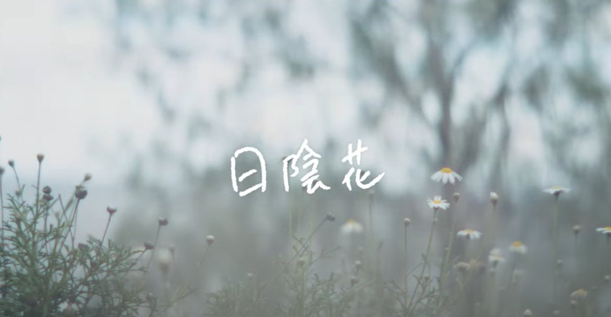 日陰花 日陰花