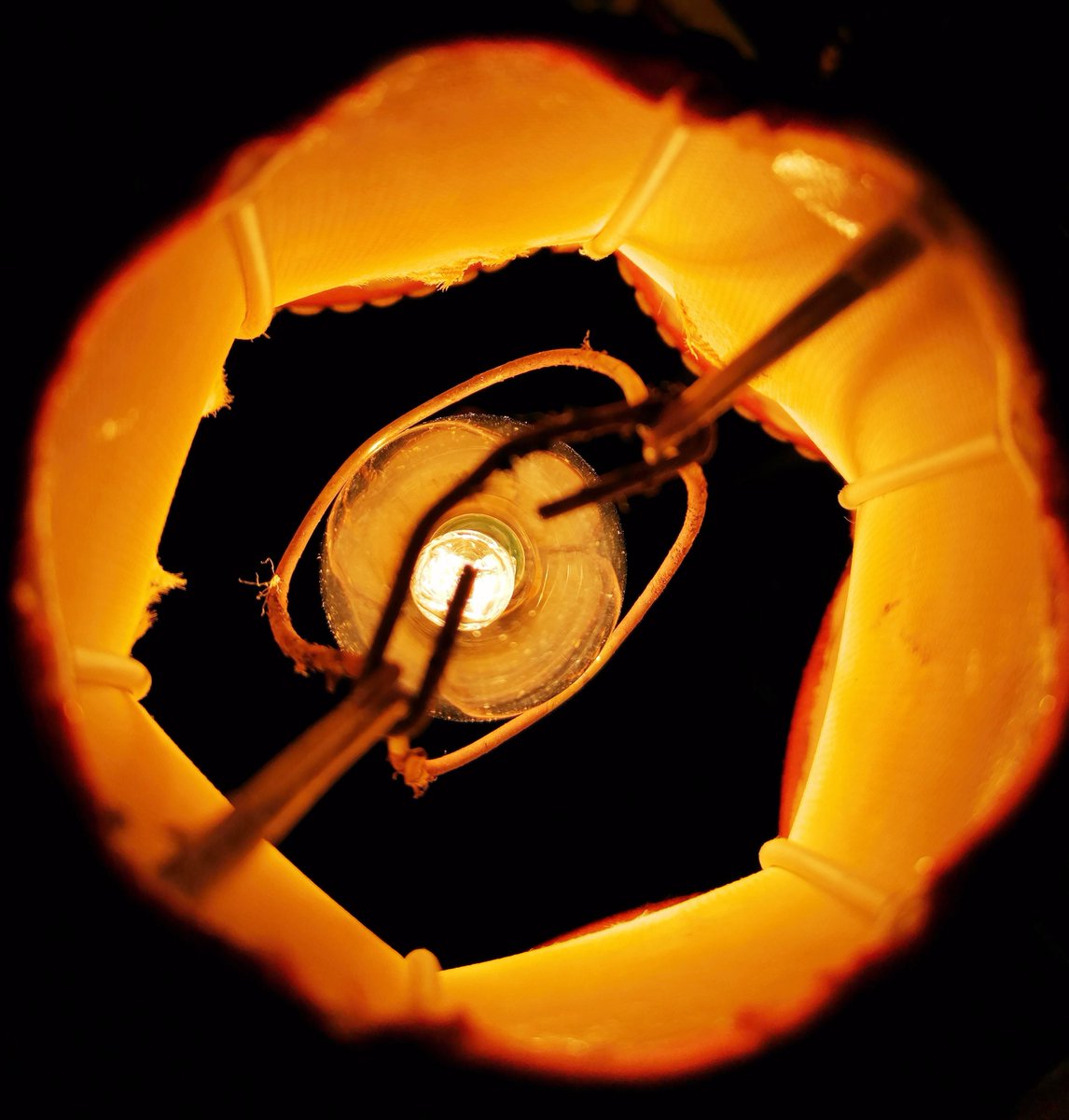 larssonzita's tweet photo. Day 11/ 24 of @murzemagazine Art for Advent 2020.....From above
@Murze #Artforadvent #AFA2020 https://t.co/qkYCU93bIF #murze #artforadvent #Rosita https://t.co/6tQzNYEKcY