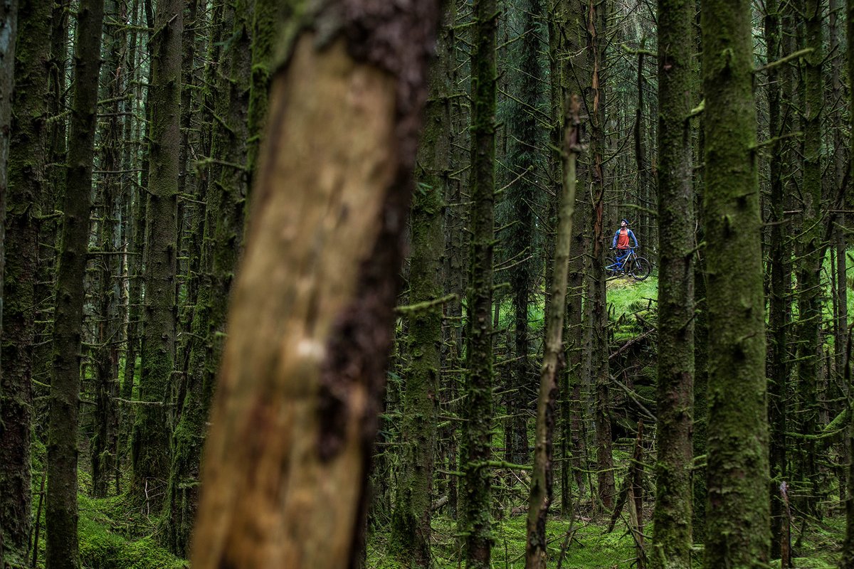 MountainBikeNI's tweet photo. As well as maintenance works taking place at Davagh Forest, Forestry Service NI are harvesting around waymarkers 11, 12 and 14; and adjacent to fire road 11-17.

There won't be diversions on these sections but just be aware of the increased activity nearby.

#DavaghForest https://t.co/76UIh7zfay
