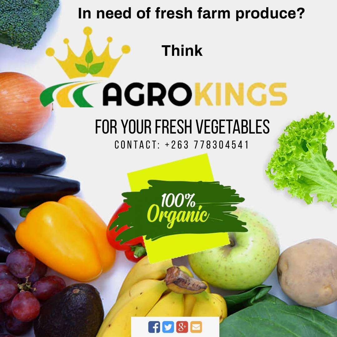 Its a Friday! Show me some love. I need your Retweets guys! We need to reach every client on your TL. Lets Go <a href="/marvenyongoro/">Marvellous Nyongoro</a> @EutyNcube <a href="/Dudu_Nyirongo/">Duduzile Nyirongo</a> <a href="/PTChimusoro/">Mr PT</a> <a href="/Sai44352187/">sai nhundu A K A MAKAVELI</a> <a href="/hatiperi_wacho/">MR MATAYI 👔</a> <a href="/fortunechasi/">Fortune Chasi</a> @rayvines12 <a href="/hwendec/">Chalton Hwende MP</a> <a href="/namataik_/">Namatai Kwekweza🇿🇼</a> <a href="/VMusokota/">Big boy🤠🇿🇼</a> <a href="/Mavhure/">Rufaz--Jerera❤King❤</a> <a href="/leemchoneyZim/">Lee Mchoney 💋💕</a>