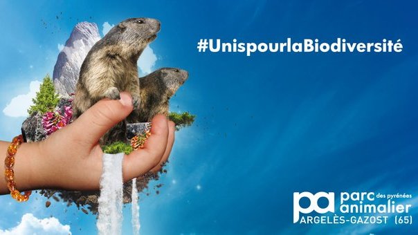 EU Environment tweet media