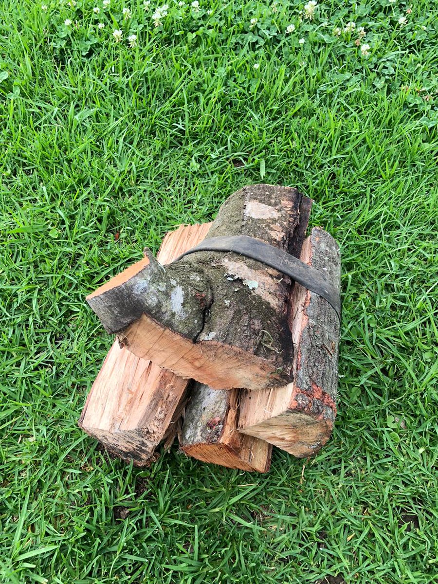 BulelaniGoqwana's tweet image. Hit me up if ufuna some fire wood. RT for awareness