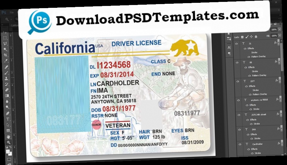driver license template downloads / Twitter