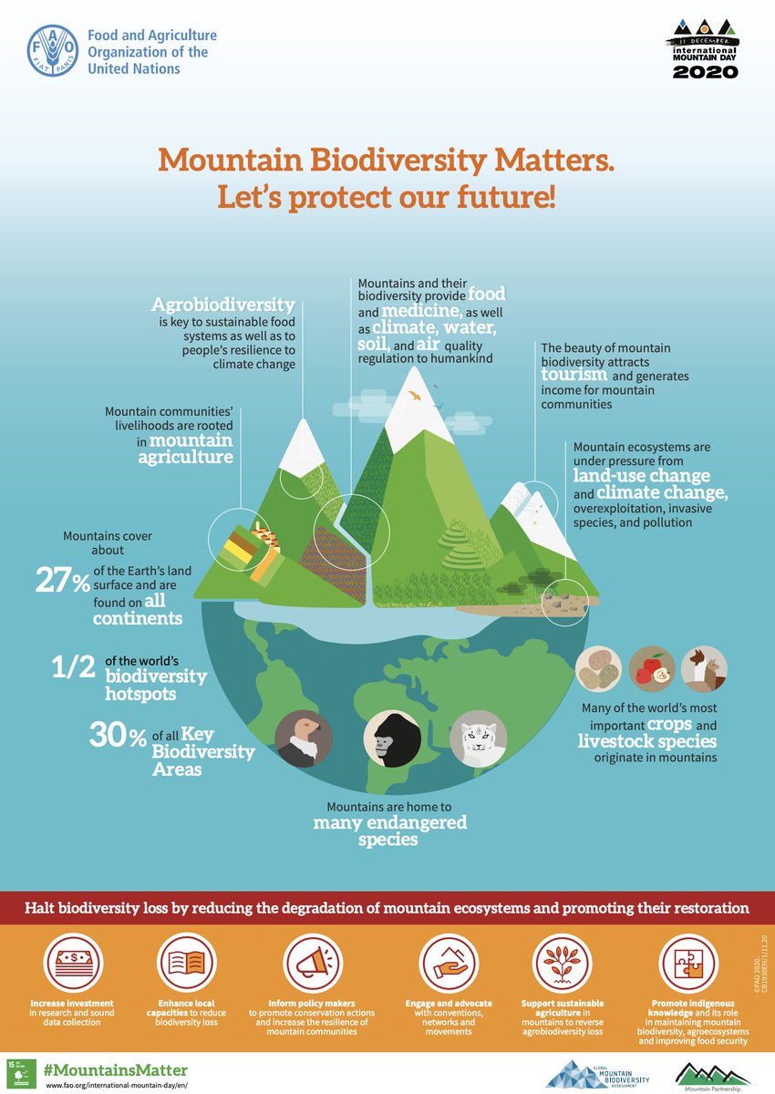 Full details and information on  #InternationalMountainDay can be found on the  @FAO website  #MountainsMatter