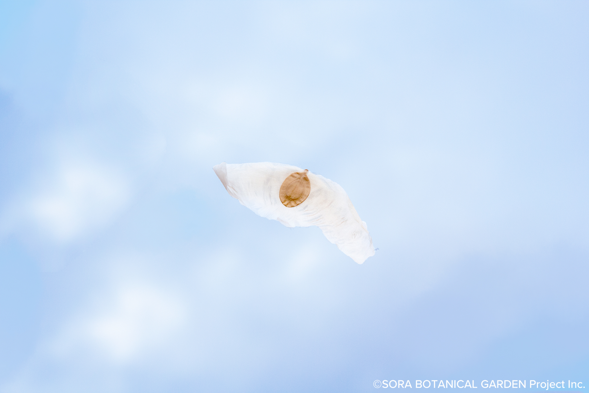 代々木village Yoyogivillage Twitter