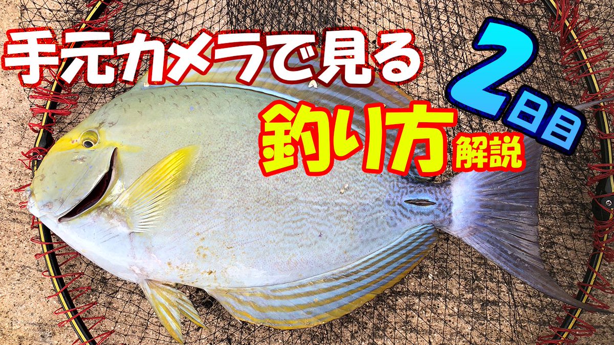 沖縄フカセ釣り学校 石垣島遠征第２弾 ２日目 大型トカジャー狙い T Co Jikqql6zzj 手元カメラで実釣解説動画 です 沖縄釣り 石垣島 遠征 フカセ釣り トカジャー 沖縄 釣り 海 鱗海