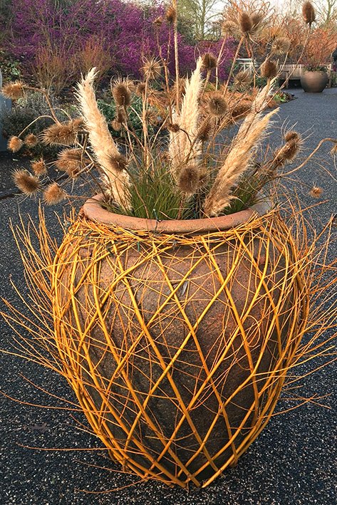 How about this for an idea of how to decorate your containers for winter?  Find them in the Hyde Hall Winter Garden.