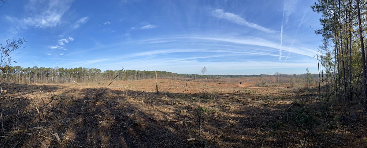 Checking in on the amazing progress on the Project Green Field site in #lagrangega #troupcounty #investment #GDEcD