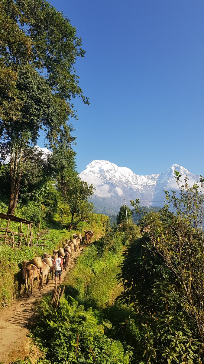 International Mountain Day. A thread : (1/n) You beauty 