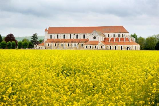 brassières decathlon