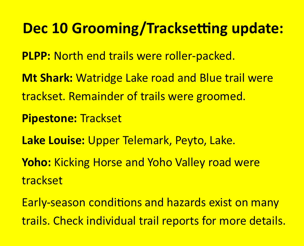 The recent snowfall has improved xc ski conditions and allowed more trails to be groomed.