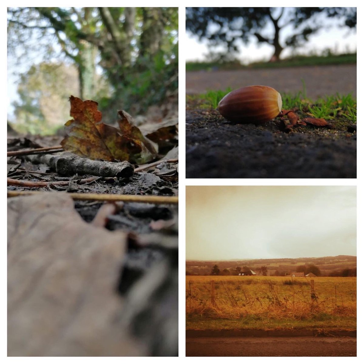 UHHSarts's tweet photo. Big shout out Asa in Year 7 who this week shared some of his Photography work that he does in his spare time. The Art dept think it is fabulous and want to give him a big shout out and share it with you.  Future GCSE photographer for sure... 👏🏻📸 #photography #year7 @UHHSchool https://t.co/acy67PLNTB