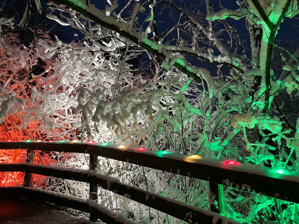 NPCA_Ontario's tweet photo. This Sat, for @NPCA_Foundation's 'Giving Weekend', @SowSeedsNiagara will be offering cider by donation at the #BallsFallsHolidayTrail.

Join us to support conservation efforts across the watershed, with all proceeds going to the NPCF. Book now at https://t.co/96SOYfjEug. https://t.co/DJte4eZn9Z