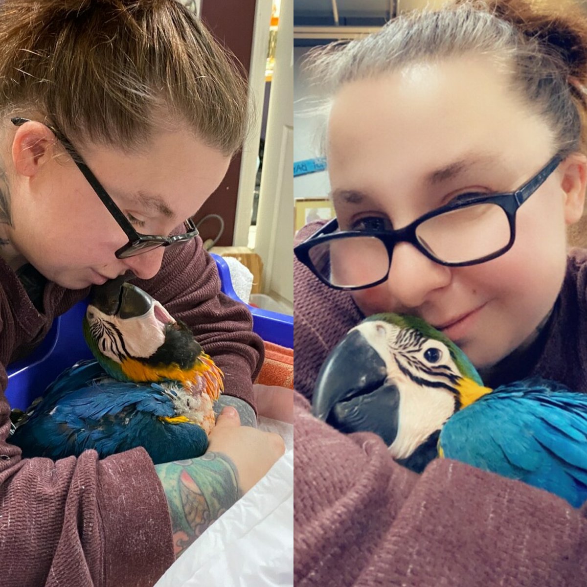 My newest edition Thor!