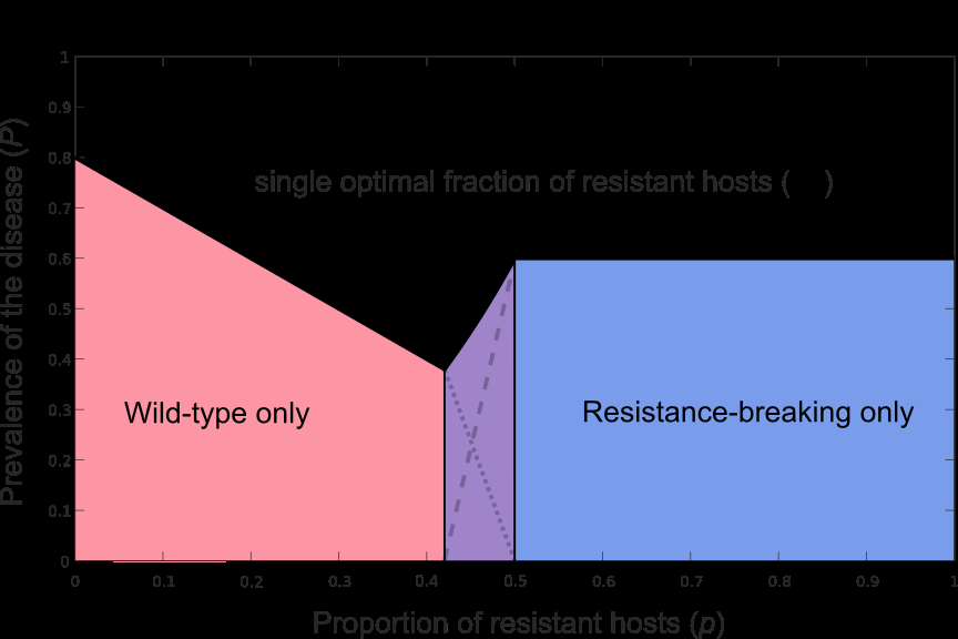 UMR Igepp tweet media