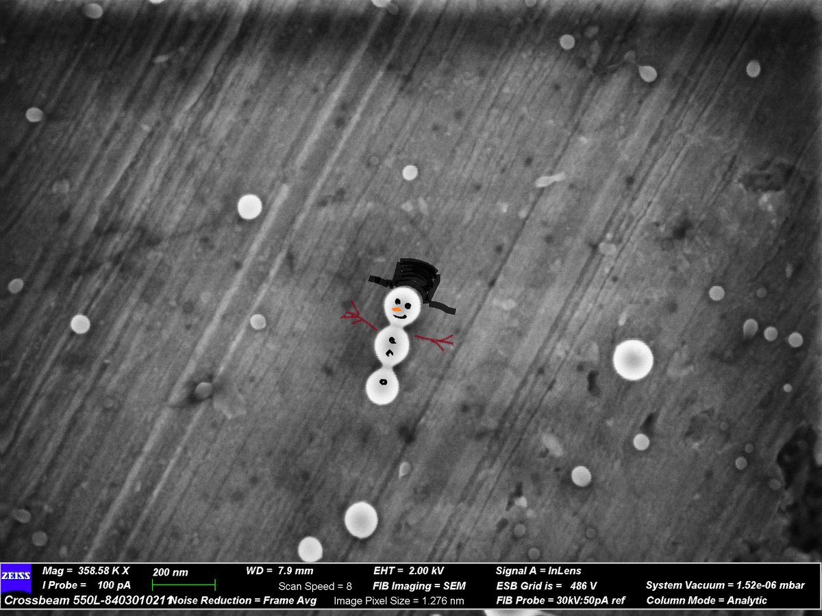 Merry Christmas from #CLFoctopus!
I have recently used the CrossBeam to image polymer nanoparticles from BioCyto. It is hoped that the nanoparticles will deliver antivirals across the blood-brain barrier for the treatment of covid-19. These nanoparticles look especially festive!