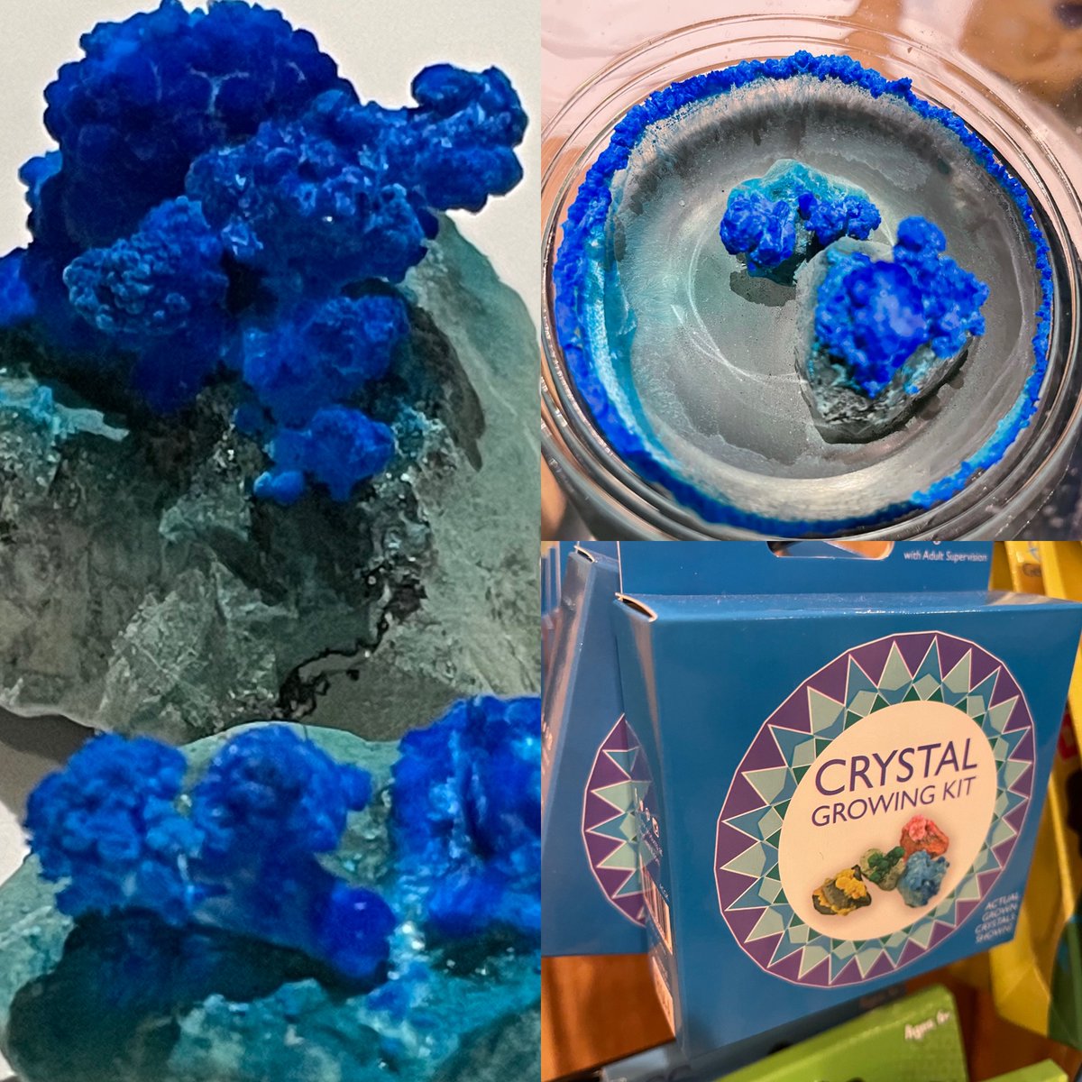 TheStation10's tweet photo. Crystal kit great stocking stuffer! Create a crystal garden - our crystals start to grow after one day! #stationcoffee #shopmerchantville #eilandarts #stockingstuffer #merchantville https://t.co/Q2dWi9tg3g