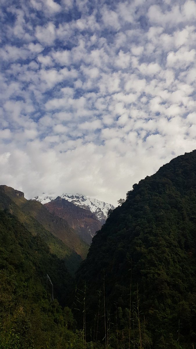 (4/n) from close, and from afar 