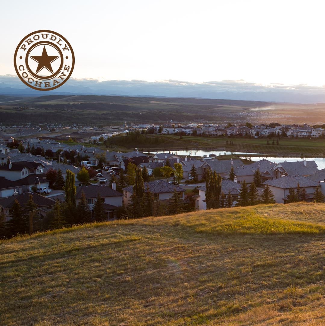 PUT YOURSELF IN THIS PICTURE
Download special #CochraneAB backgrounds for your next virtual meeting or family gathering and share the beauty of our Town. Free to use! Feel free to share! #ProudlyCochrane #CochraneTogether 
cochrane.ca/786/Community-…