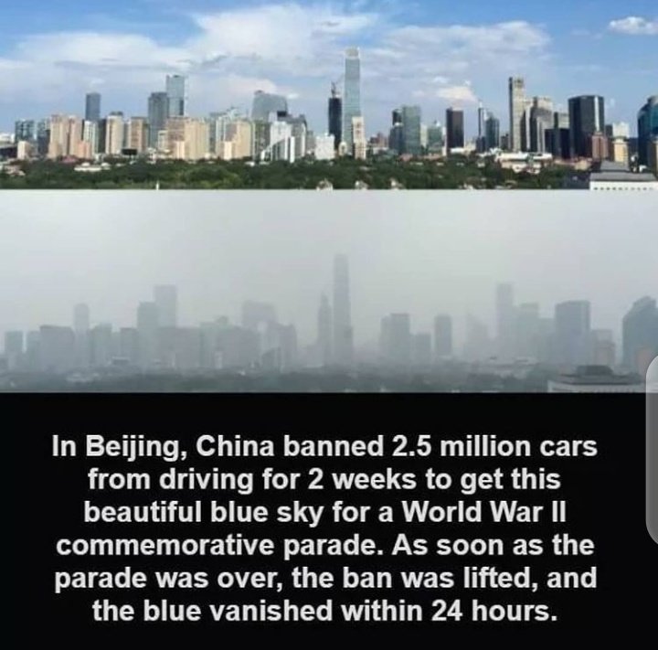 Courage the cowardly dog