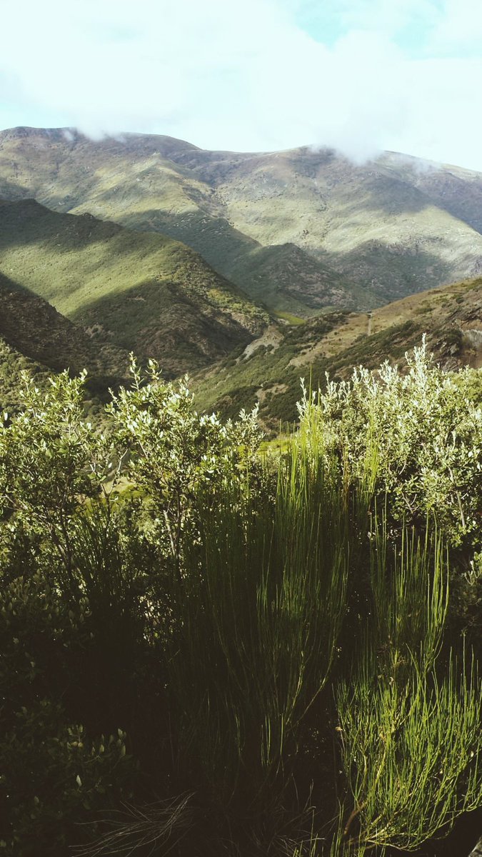 soylazarzamora's tweet photo. En casa también las tenemos y pronto podremos volver a disfrutarlas. 
Mis preciosas montañas de La Cabrera, León. ⛰💚
#DiaInternacionalDeLasMontanas #LaCabrera #Leon #leonesp #Odollo https://t.co/YiRSSFrIhN